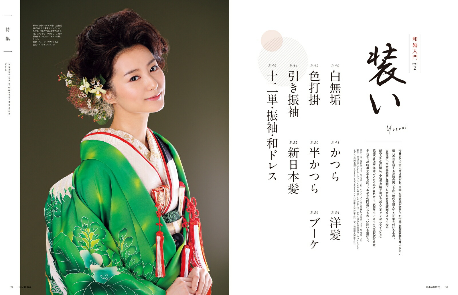 ���ܤη뺧��No.34�����襷�꡼����[IBJ�����ǥ���]