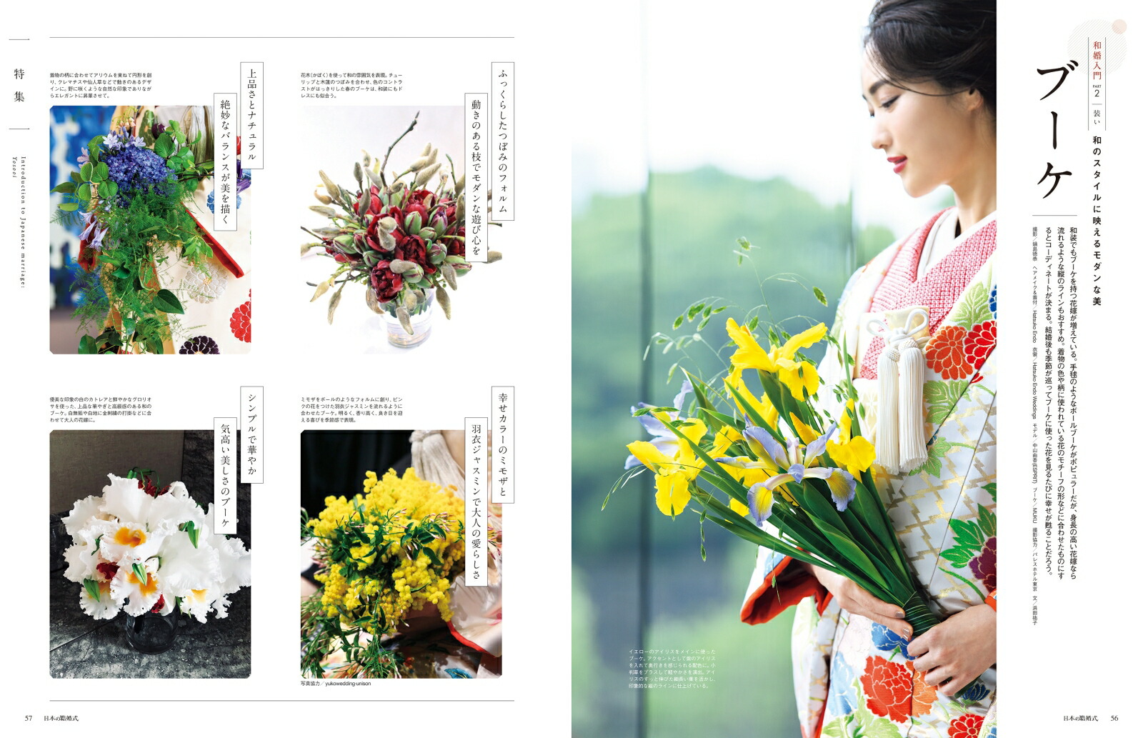 ���ܤη뺧��No.34�����襷�꡼����[IBJ�����ǥ���]