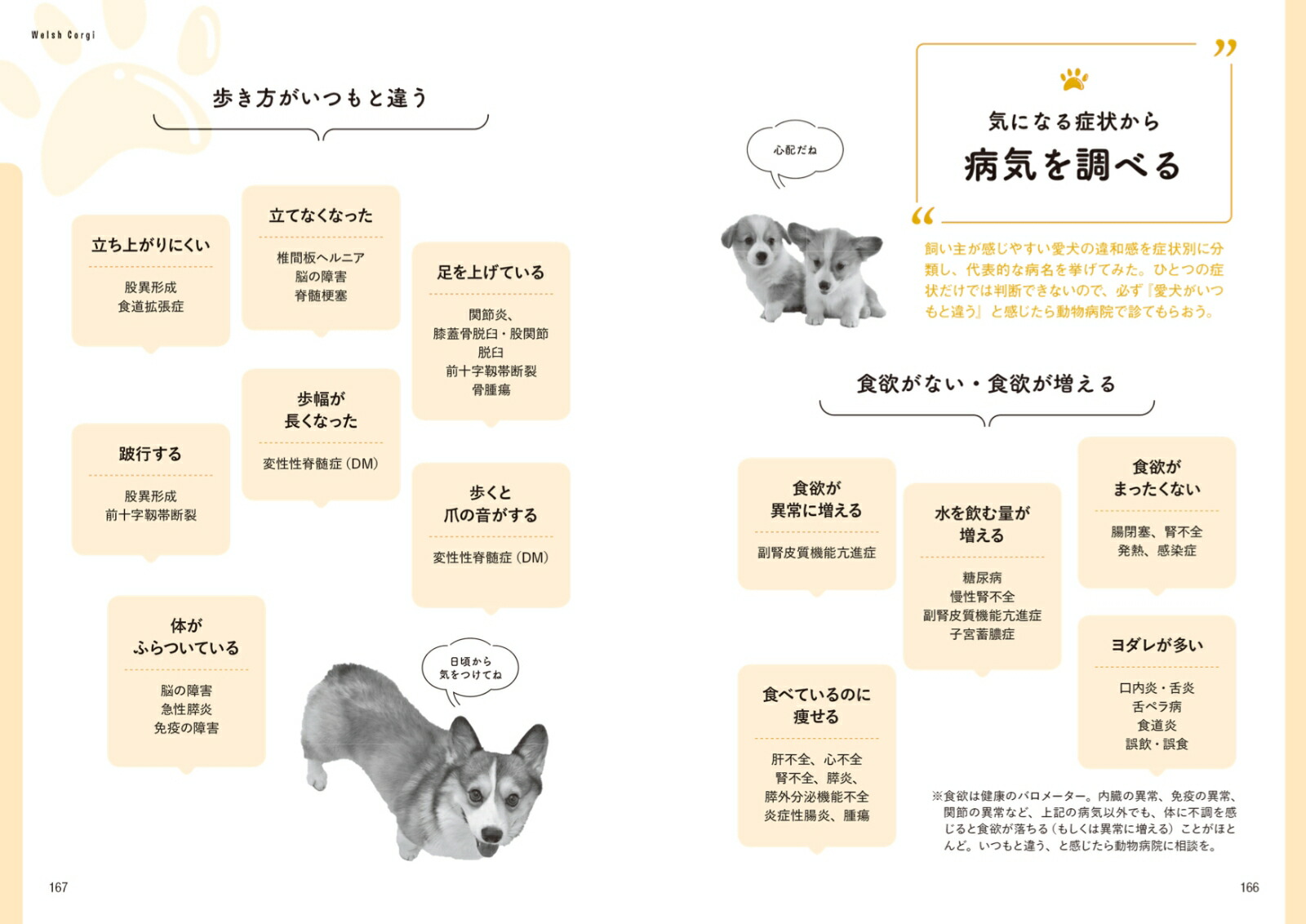 楽天ブックス コーギー版 家庭犬の医学 コーギースタイル編集部 本