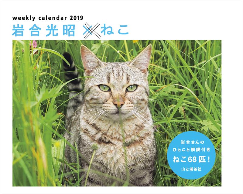 岩合光昭×ねこカレンダー（2019）（［カレンダー］）