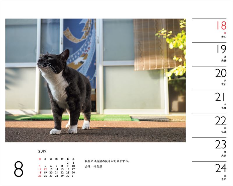 岩合光昭×ねこカレンダー（2019）（［カレンダー］）