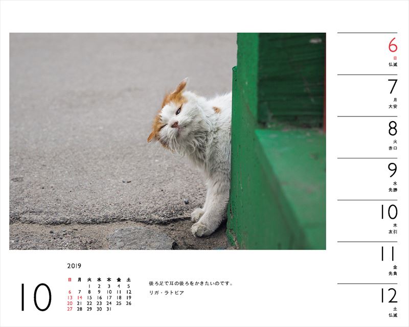 岩合光昭×ねこカレンダー（2019）（［カレンダー］）