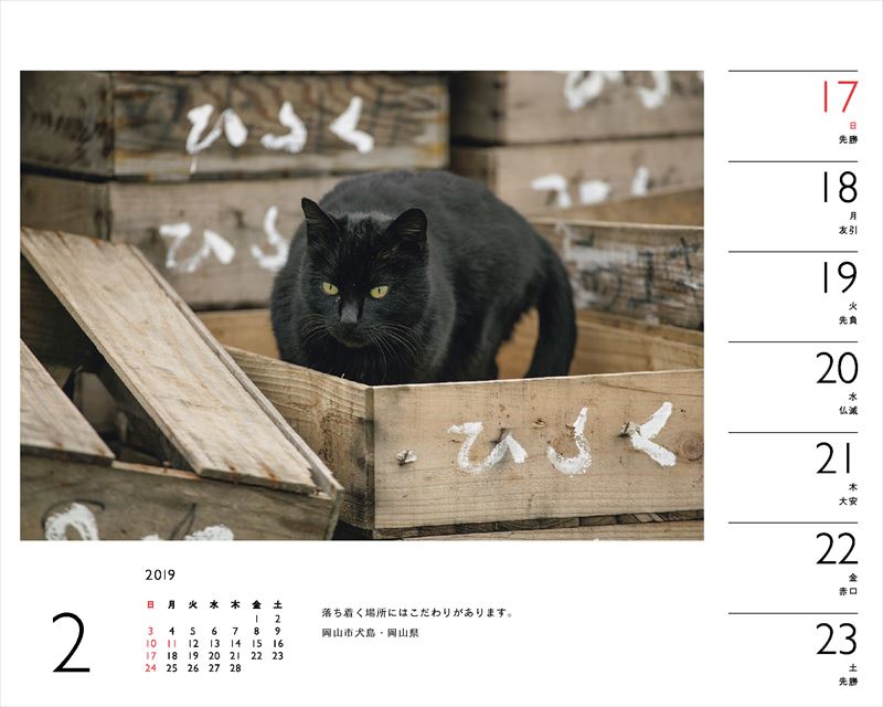 岩合光昭×ねこカレンダー（2019）（［カレンダー］）