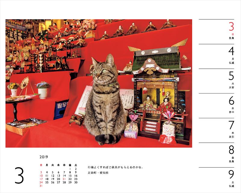 岩合光昭×ねこカレンダー（2019）（［カレンダー］）