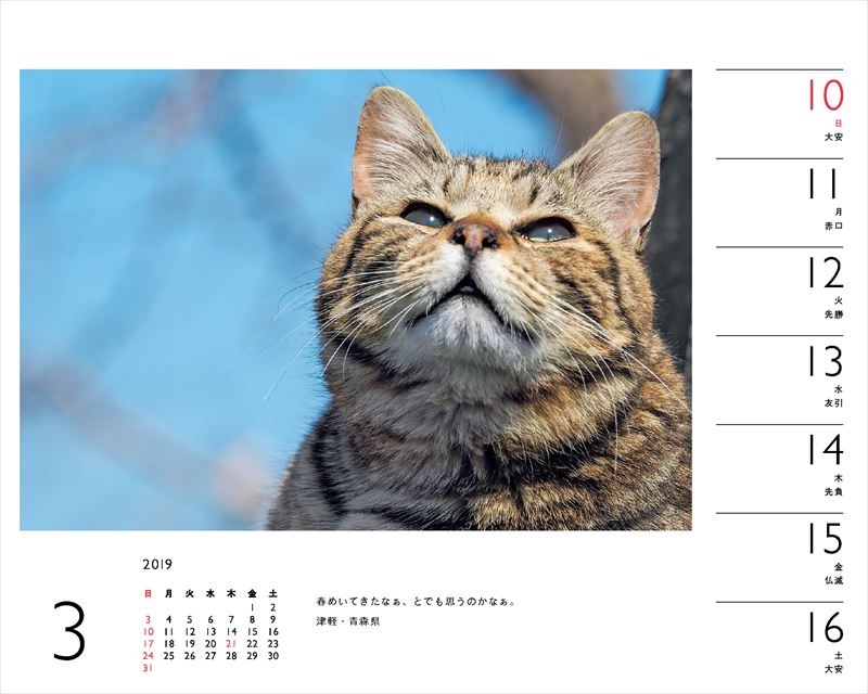 岩合光昭×ねこカレンダー（2019）（［カレンダー］）