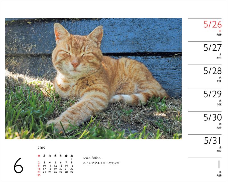 岩合光昭×ねこカレンダー（2019）（［カレンダー］）