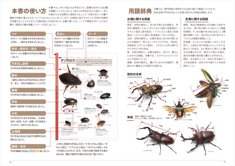 楽天ブックス くらべてわかる甲虫1062種 本