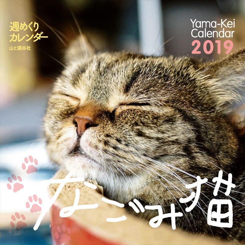᤯ꥫʤǭ2019ˡʡΥϡ