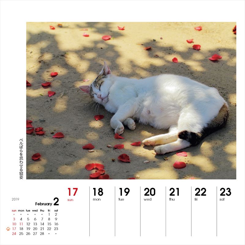 週めくりカレンダーなごみ猫（2019）（［カレンダー］）