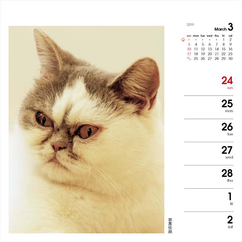 週めくりカレンダーなごみ猫（2019）（［カレンダー］）