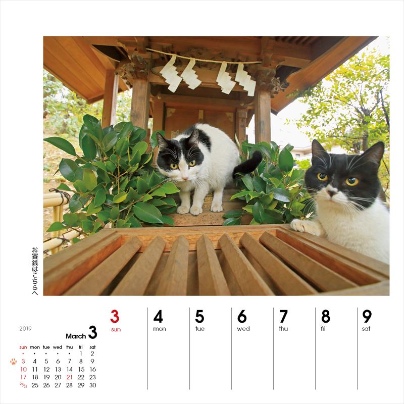 週めくりカレンダーなごみ猫（2019）（［カレンダー］）