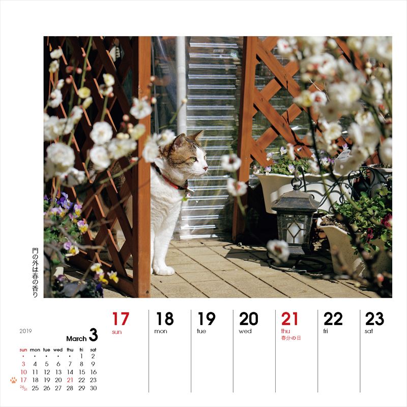 週めくりカレンダーなごみ猫（2019）（［カレンダー］）