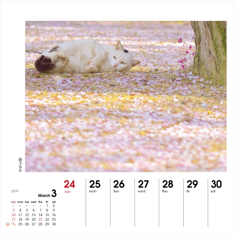 週めくりカレンダーなごみ猫（2019）（［カレンダー］）