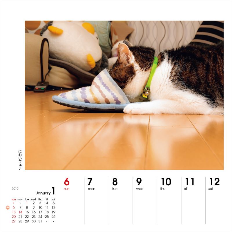 週めくりカレンダーなごみ猫（2019）（［カレンダー］）