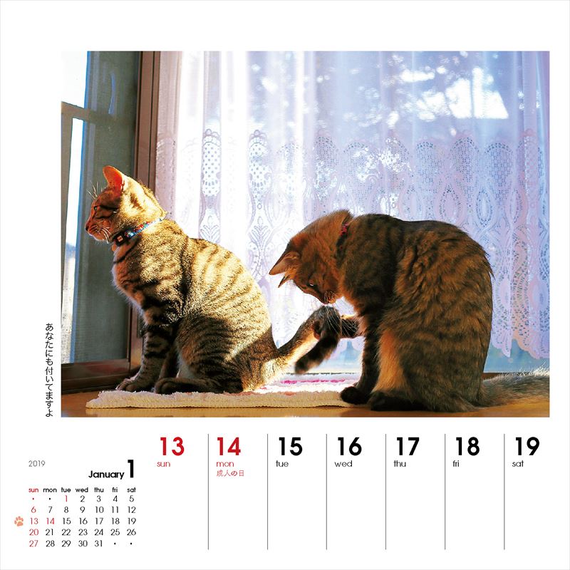 週めくりカレンダーなごみ猫（2019）（［カレンダー］）