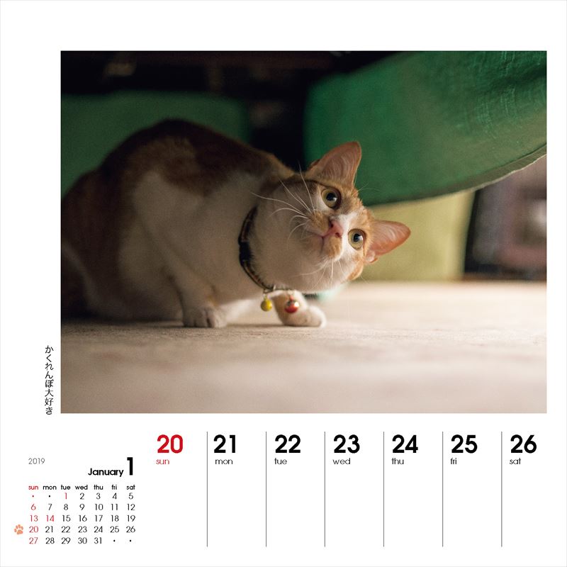 週めくりカレンダーなごみ猫（2019）（［カレンダー］）