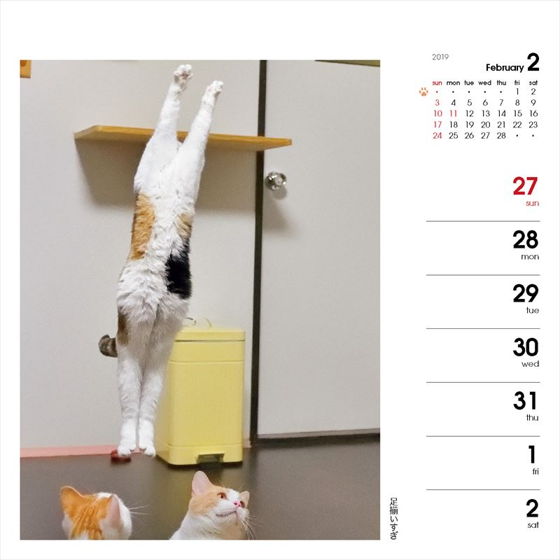 週めくりカレンダーなごみ猫（2019）（［カレンダー］）