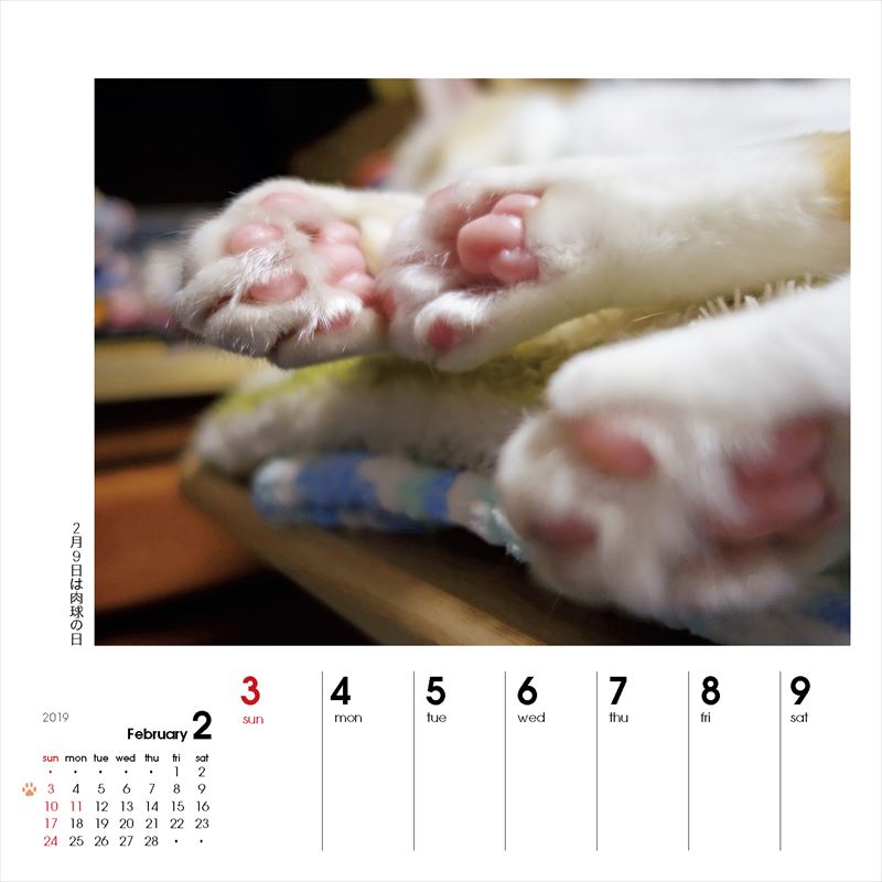週めくりカレンダーなごみ猫（2019）（［カレンダー］）