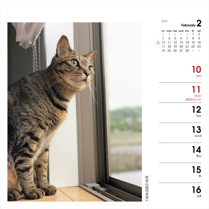 週めくりカレンダーなごみ猫（2019）（［カレンダー］）