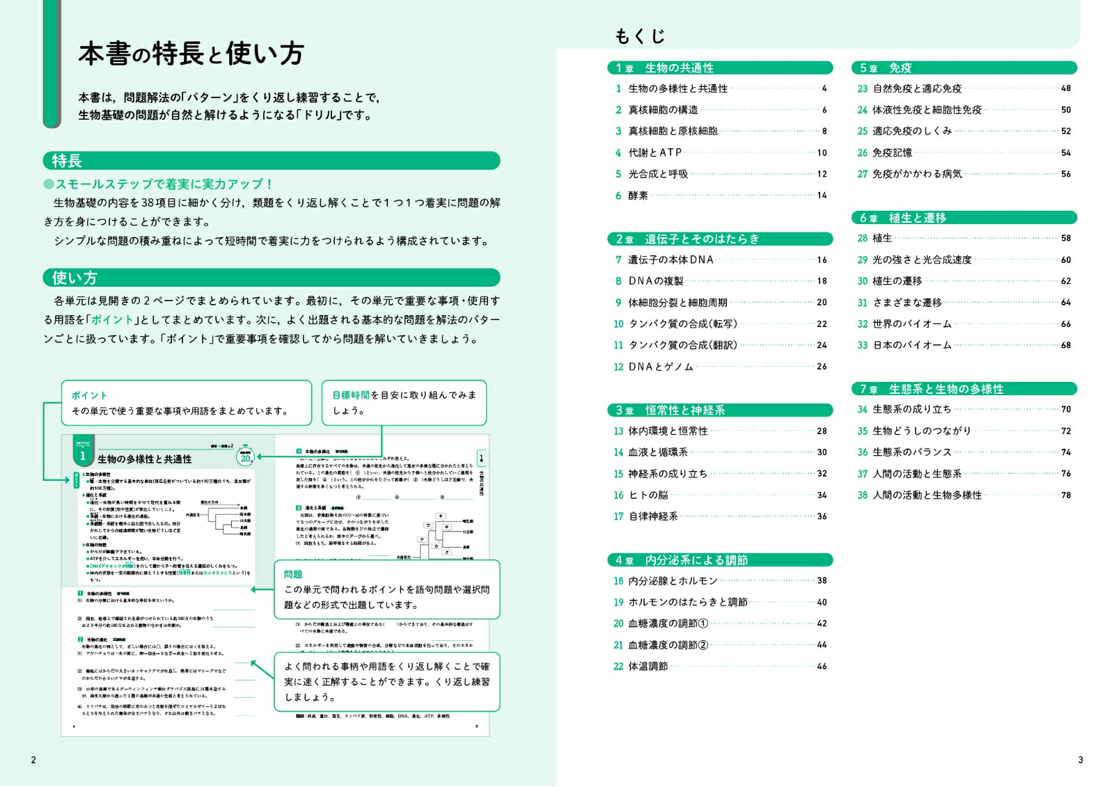 ⹻ʪåѥɥʹ⹻ѥɥ[ʸƲԽ]