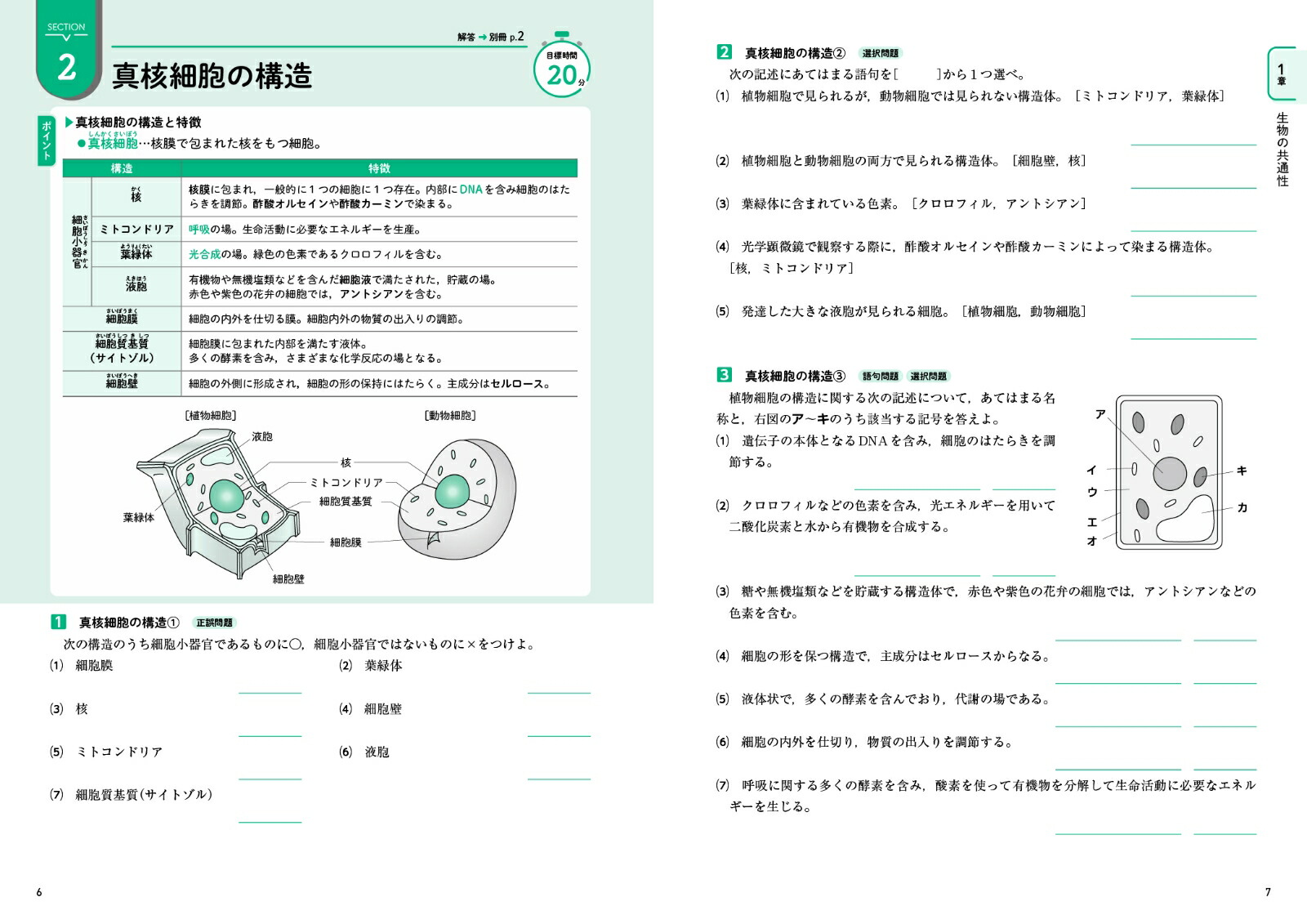 ⹻ʪåѥɥʹ⹻ѥɥ[ʸƲԽ]