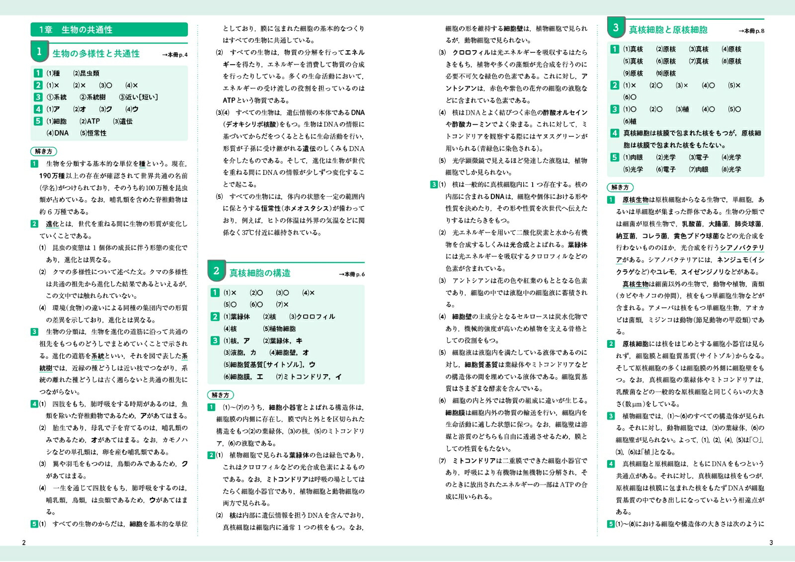 ⹻ʪåѥɥʹ⹻ѥɥ[ʸƲԽ]