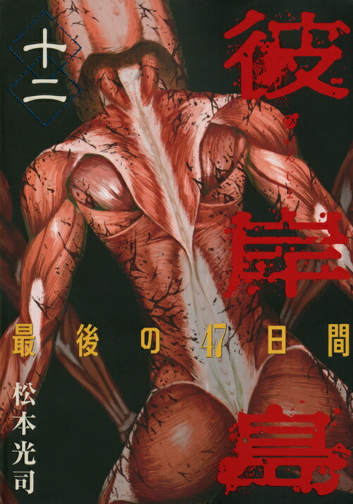 �����Ǹ��47���֡�12�ˡʥ��ޥ�KC���ڥ�����[���ܸ���]