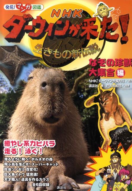 楽天ブックス Nhkダーウィンが来た なぞの珍獣大集合編 生きもの新伝説 発見 マンガ図鑑 日本放送協会 本