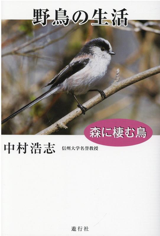 楽天ブックス: 野鳥の生活 - 森に棲む鳥 - 中村浩志 - 9784902443592 : 本