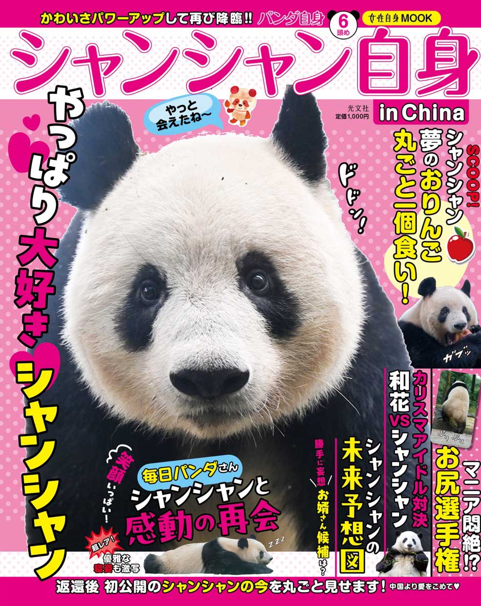 ѥ6Ƭ᥷󥷥󼫿inChinaʸʸҽ֥å200[Խ]