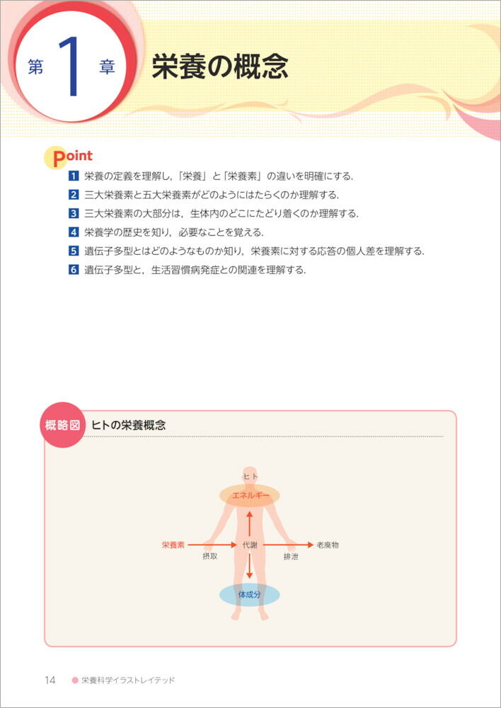 楽天ブックス 基礎栄養学 第4版 田地 陽一 本