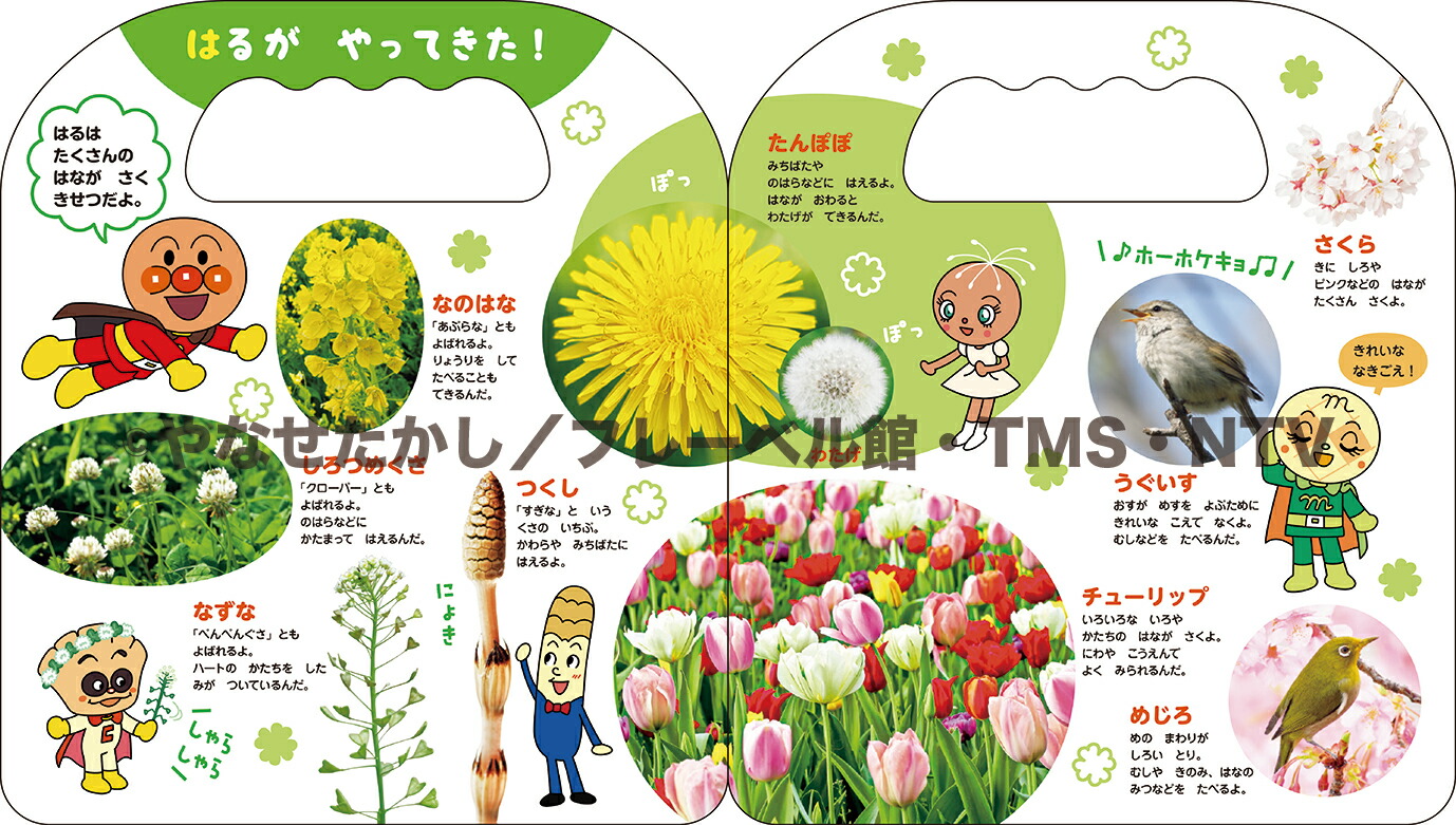 ����ѥ�ޥ�Ϥ���Ƥ����󤷤����4��[��ʤ�������]