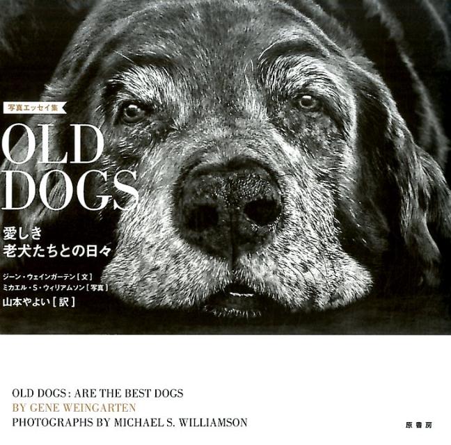 楽天ブックス 写真エッセイ集 Old Dogs 愛しき老犬たちとの日々 ジーン ウェインガーテン 本