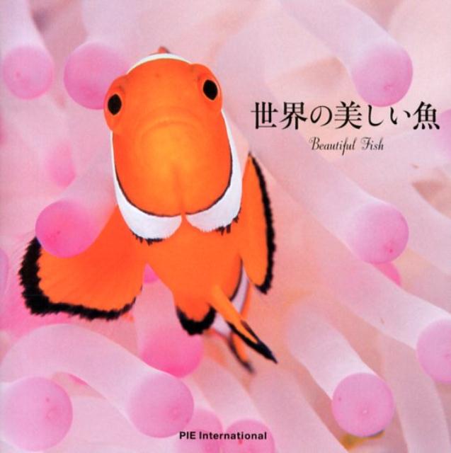 楽天ブックス 世界の美しい魚 アフロ 本