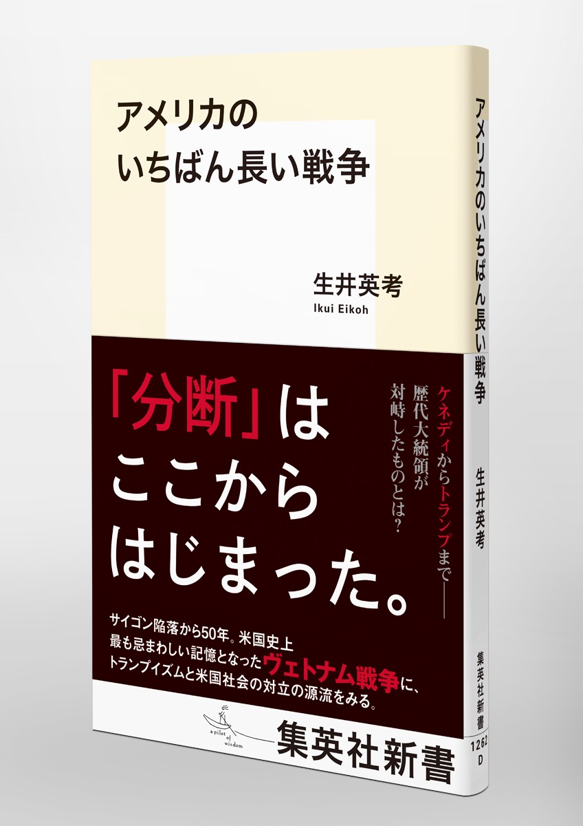 アメリカのいちばん長い戦争（集英社新書）[生井英考]