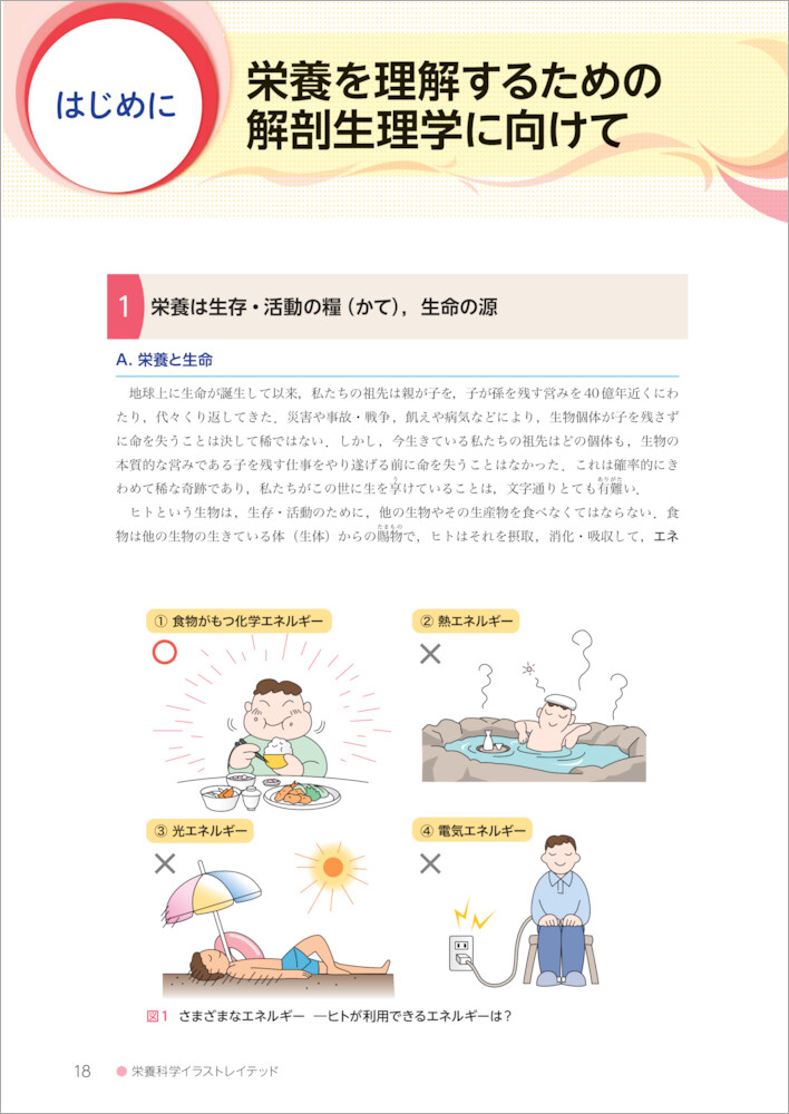 解剖生理学人体の構造と機能第3版（栄養科学イラストレイテッド）[志村二三夫]
