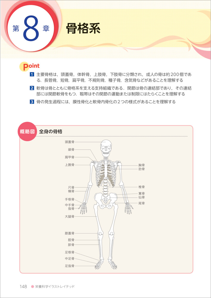 解剖生理学人体の構造と機能第3版（栄養科学イラストレイテッド）[志村二三夫]