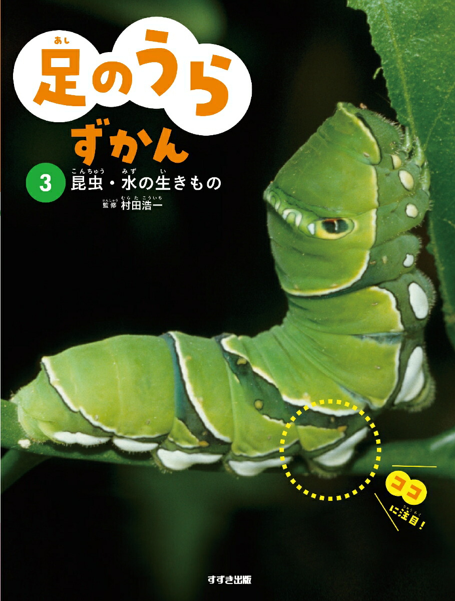 ­Τ餺3[¼Ĺ]