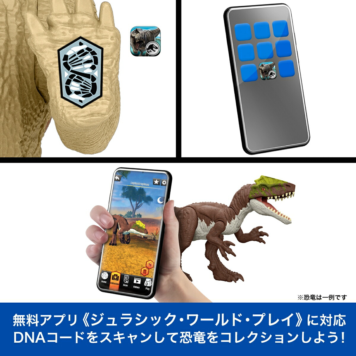 �ޥƥ른��饷�å�����(JURASSICWORLD)�ɷ⥢���å����������ȻҶ������ե����奢��ε�ե����奢6��BOX����4�Ф���ޥ��986A-JGB77