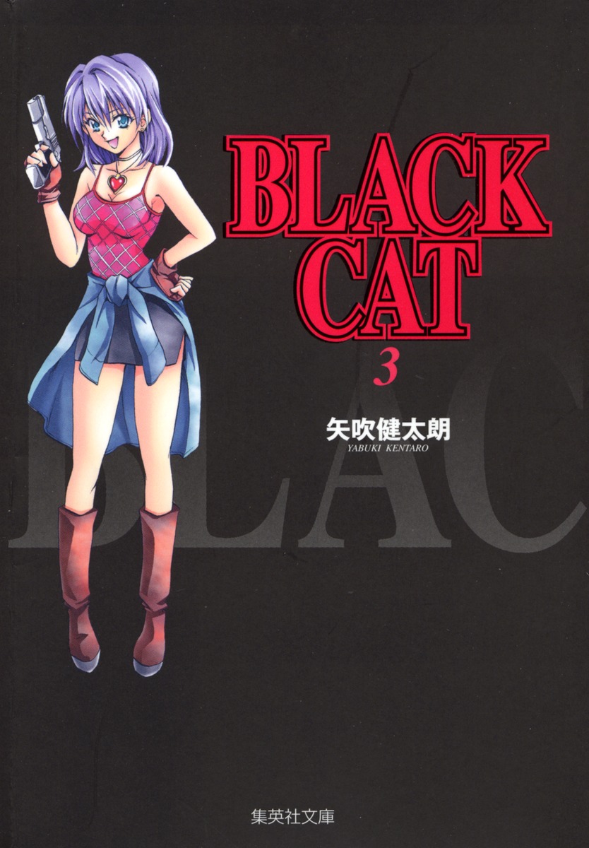 BLACK　CAT（3）画像