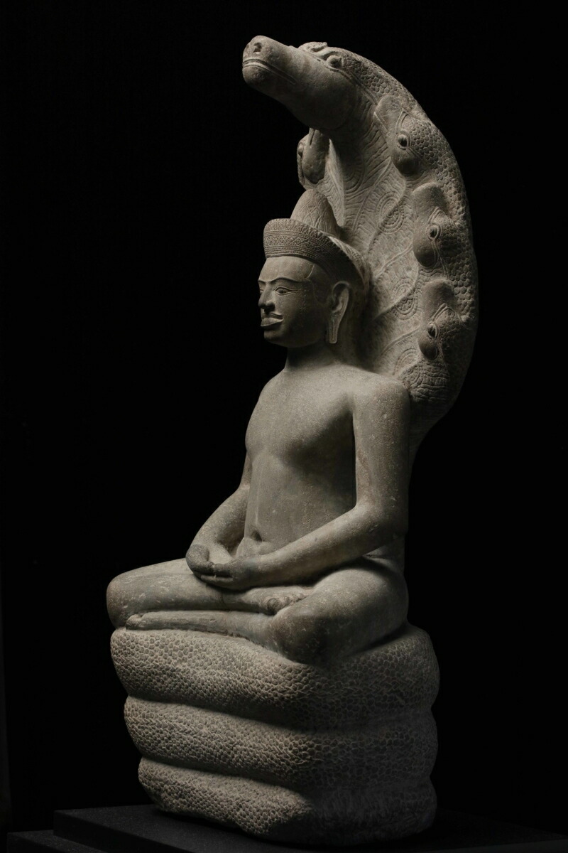 �����Ω��ʪ�ۤλ���[�����Ω��ʪ��]