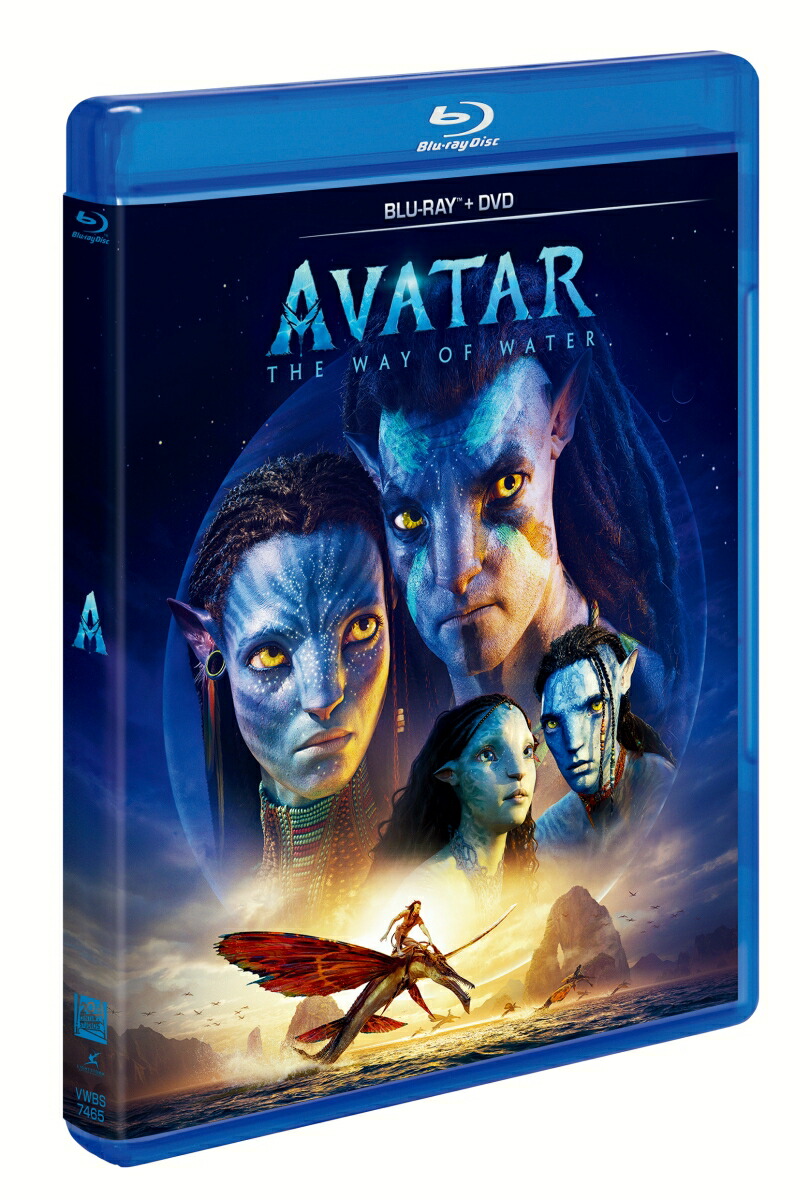 ���Х����������������֡������������֥롼�쥤+DVD���åȡ�Blu-ray��[���ࡦ�����ȥ�]