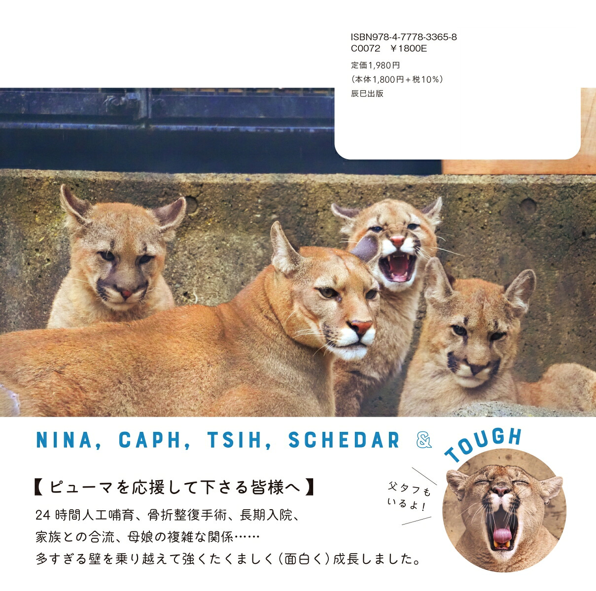 ピューマのかぞく[盛岡市動物公園ZOOMO]