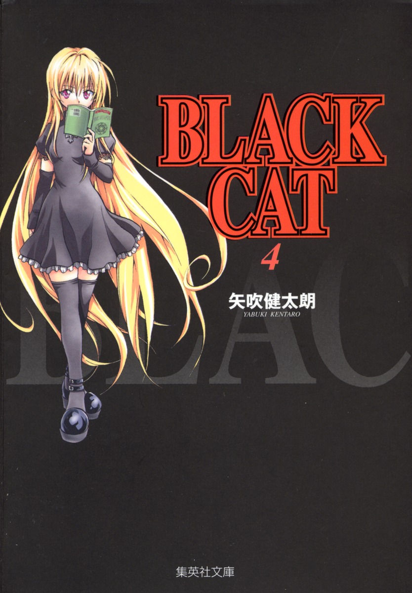 BLACK　CAT（4）画像