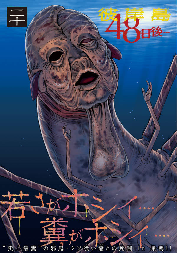 �����48����ġ�20�ˡʥ��ޥ�KC���ڥ�����[���ܸ���]