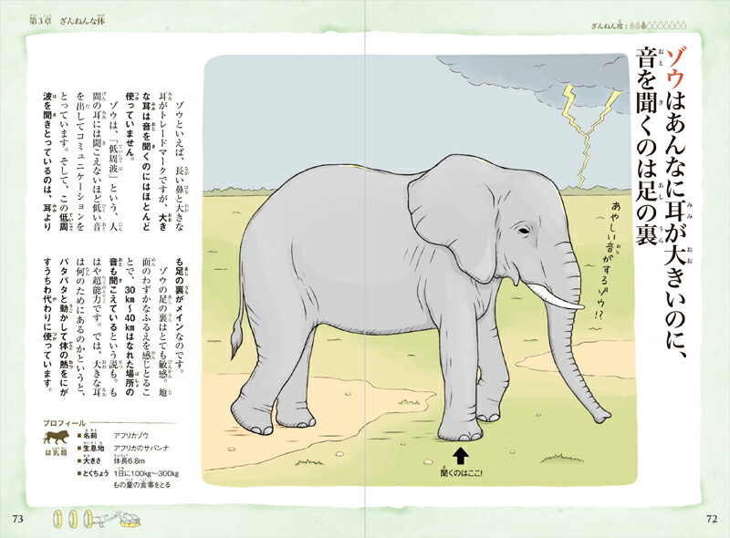 続々ざんねんないきもの事典おもしろい！進化のふしぎ[今泉忠明]
