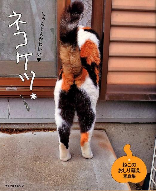 楽天ブックス ネコケツ ねこのおしり萌え写真集 にゃんこ編集部 本