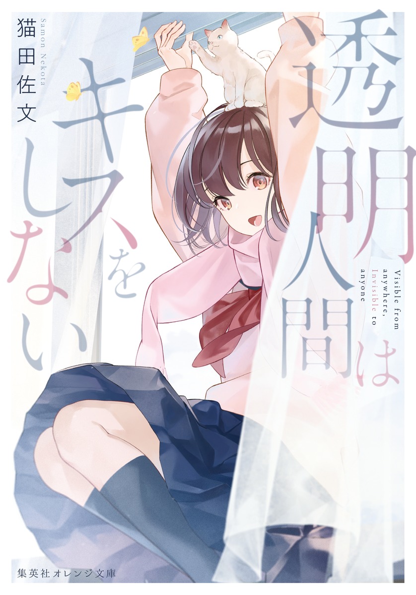 透明人間はキスをしない画像