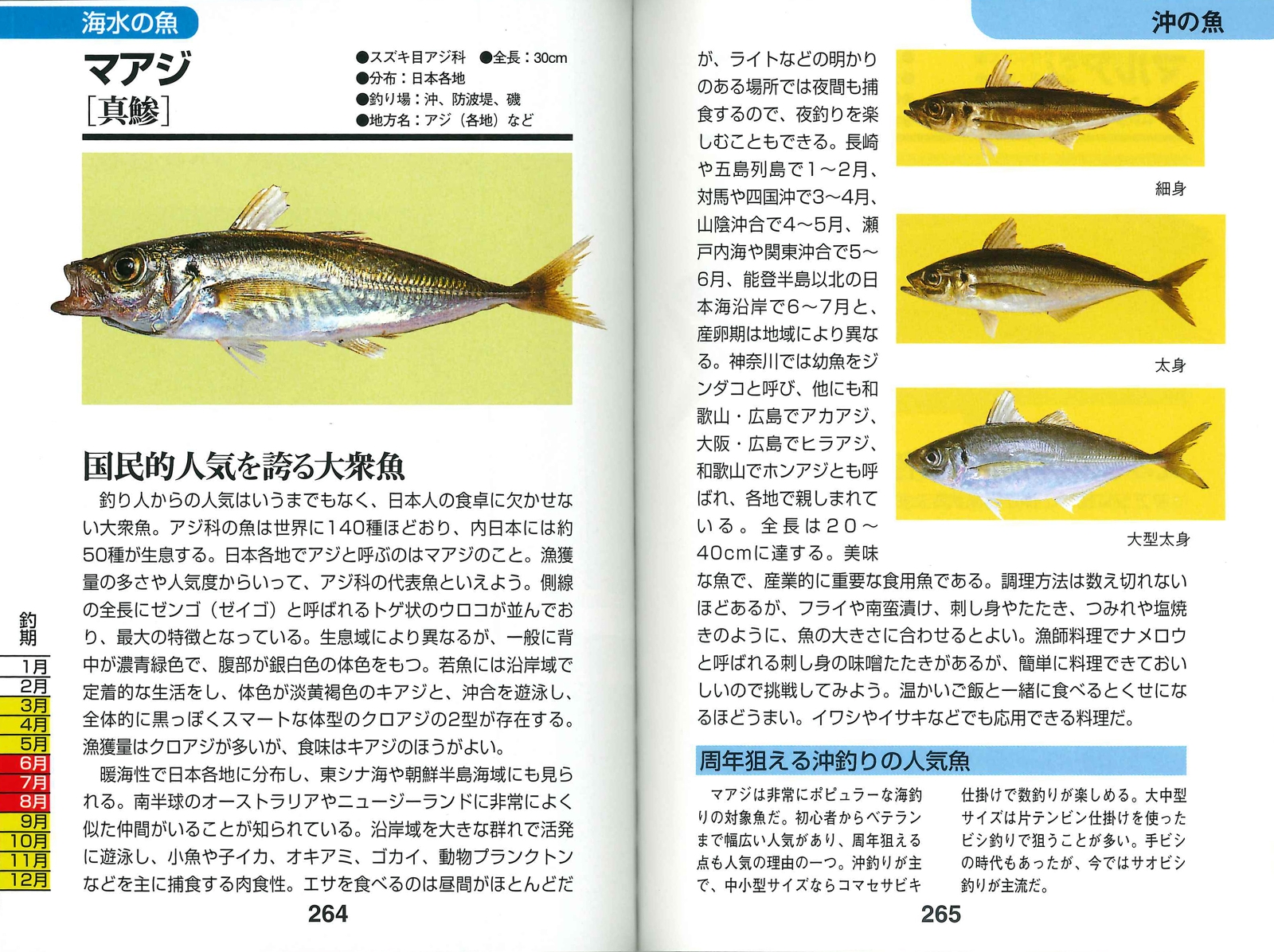 楽天ブックス 釣った魚が必ずわかるカラー図鑑 永岡書店 本