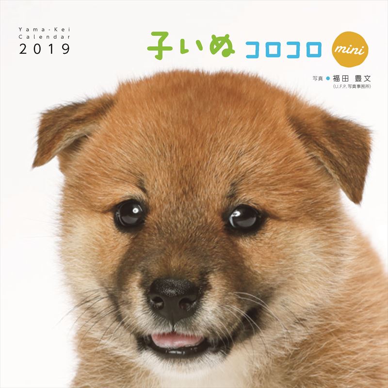 子いぬコロコロminiカレンダー（2019）（［カレンダー］）